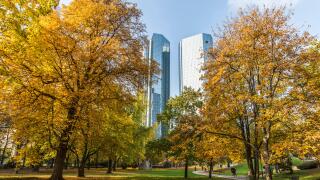 City park in Frankfurt at autumn