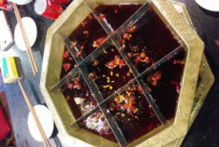 Hot Pot 230