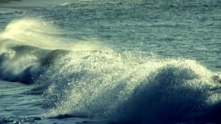 0171 Wave breaking Tobago West Indies