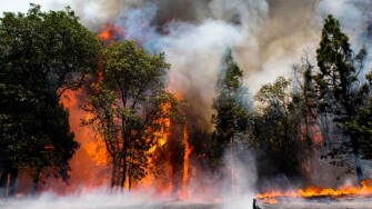 California wildfire from Alamy 21Nov24 575x375.jpg
