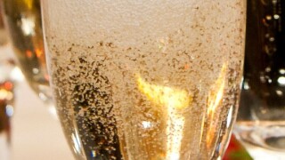 Fizzy from Alamy 21Sep23 575x375