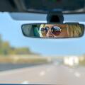 Woman driving a car on a motorway with a view ahead through the windscreen and her glasses reflected in the rear view mirror