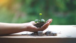 Growing Money | Business Growing. Man Holding Coin | Plant On Coins |  Finance And Investment | Profit and income