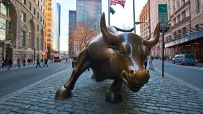 Wall Street Bull in Downtown Manhattan, NYC