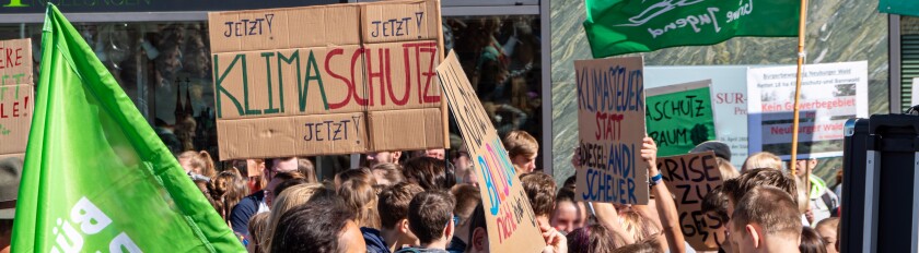 Panorama Fridays for Future Demo