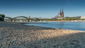 COLOGNE, GERMANY - JULY 27, 2018: Drought in Germany, low water of the Rhine river in Cologne at early morning time on July 27, 2018 in Germany