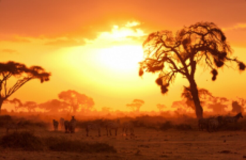 kenya zebras sunrise px230x150 for gc