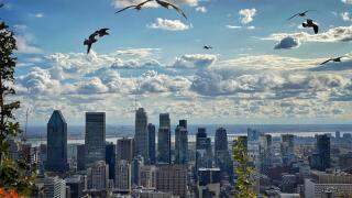 View of downtown Montreal from the top of Mount Royal