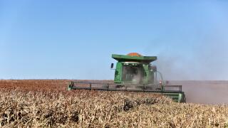 John Deere 9550 combine, farmer harvesting milo crop 'Sorghum vulgare', Trego County, Kansas.