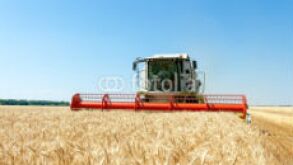 Agriculture_230