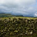 Lake District Cumbria England stone wall separating two fields