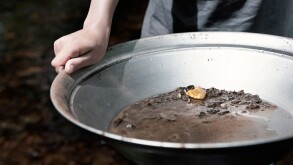 person panning for gold