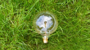 Incandescent lamp in the grass-adobe-2022