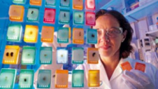 Bayer scientist  230x150