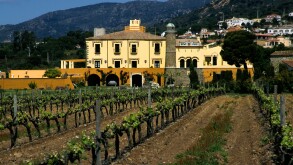 Spain wine Girona Roses Penedes Spain Wine Spain Spanish Wine