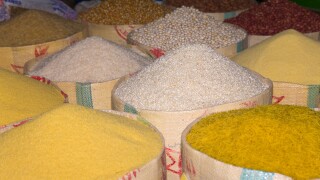 Pasta grain and rice in sacks at the souk in Taroudant Morocco