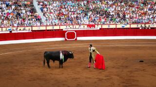 Manuel Jesus Cid Salas known as El Cid Spanish bullfighter with bull standing in front of him Santander Cantabria Spain 21 July 2009