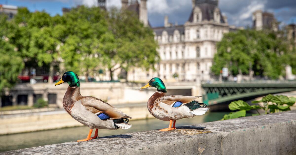 First ESN arrives at last — regulators should bless it