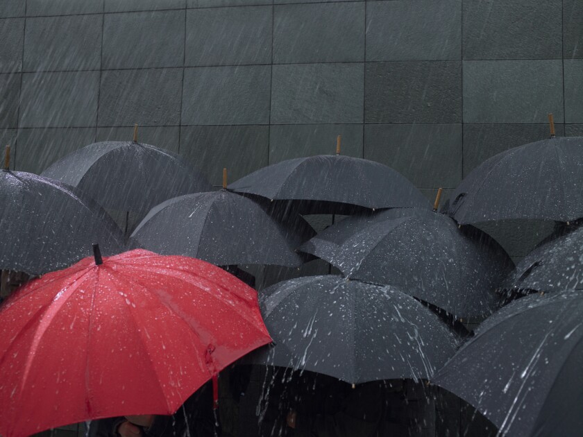 Red umbrella amongst group of open umbrellas in rain