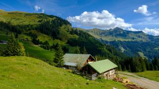 Austria, Tyrol, Juifen, Baier mountain pasture at way to Rotwand mountain pasture