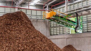wood pulp adobe stock 575x375