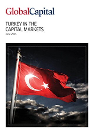 turkey-cover-2015v2.jpg