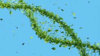 pexels green dna 575x375