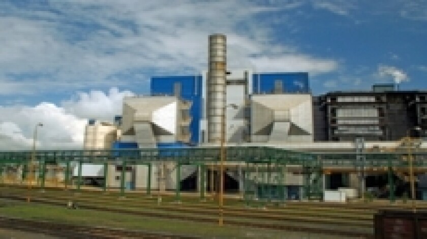 Enel plant for new website