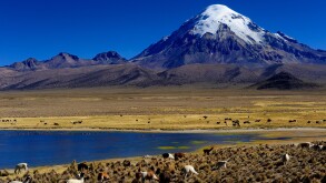 Sajama Mountain, Bolivia's highest mountain, with a lagoon and Llamas (Llama sp.), Sajama, La Paz, Bolivia, South America