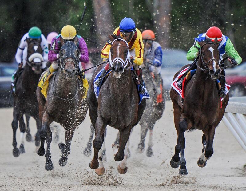 March 7, 2015 - U.S. - Carpe Diem with Johnny Velazquez Wins The Tampa Derby at Tampa Bay Downs March 7 2015(Credit Image: © Cal Sport Media\/ZUMAPRESS.com)