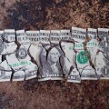 Torn US Dollar Bill USA Dollar Bill