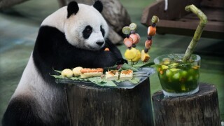 Panda_bond_China_PA_575X375_07Jul20