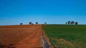 Grass is greener on other side of fence in drought affected Australia with red soil and green paddock.
