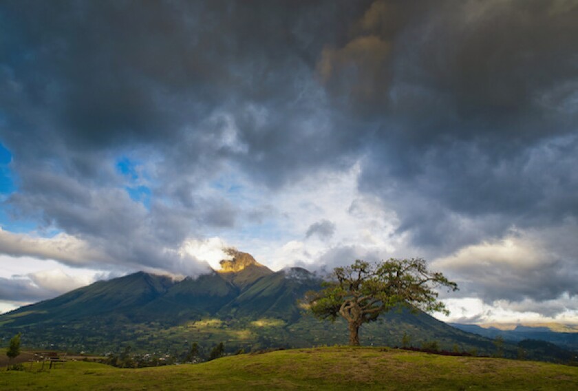 Ecuador, storm, LatAm, 575, oil, sell-off, slump