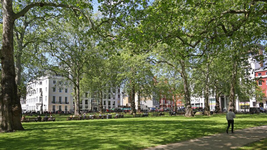 Berkeley Square in London's wealthy Mayfair district. Shows the centre of the garden square on a sunny summer day.
