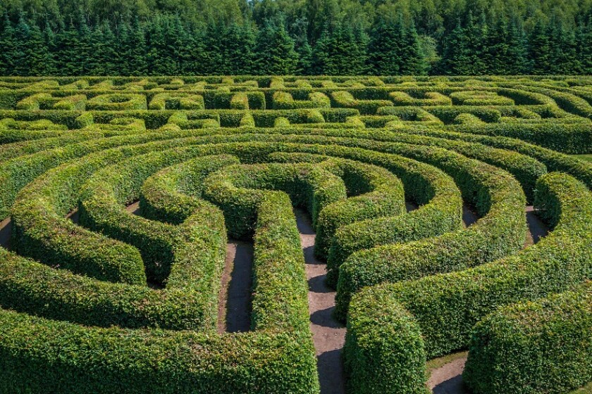 Green bushes circular labyrinth, hedge maze. Top view.