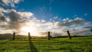 New Zealand green field sunrise_alamy_26Oct22