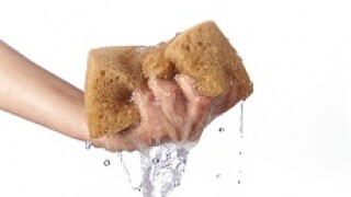 Sponge_water_absorb_Fotolia_230x150