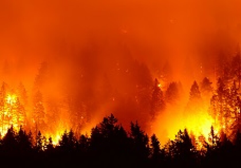 Forest fire wildfire flames from Adobe 230x150