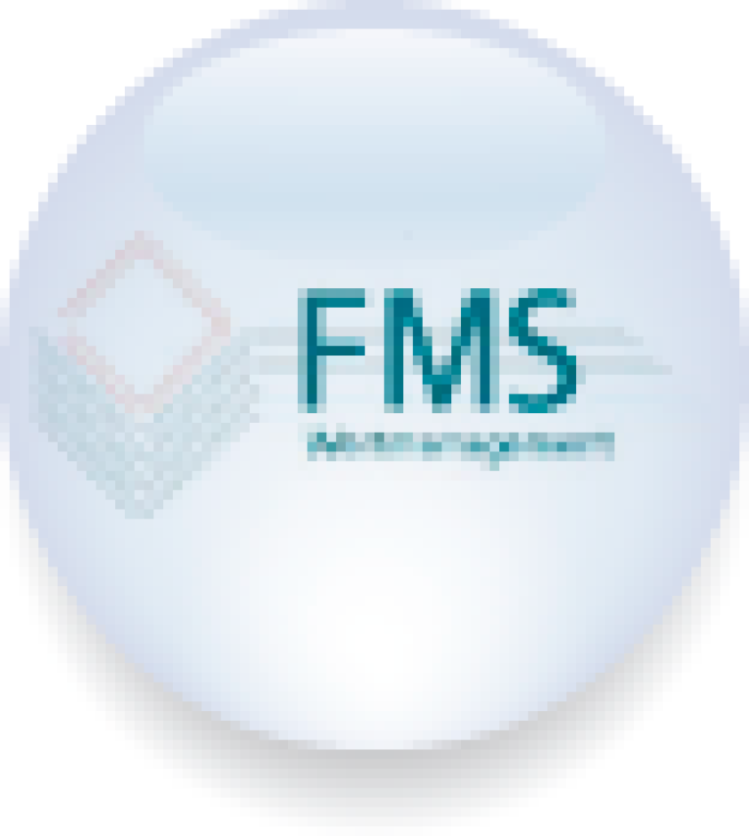 fms-wertmanagement-large.png