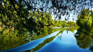 Danube delta nature reserve, Romania. Amazing old forest landscape.