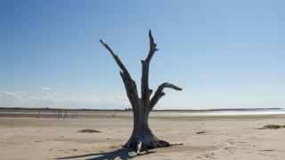 desertification