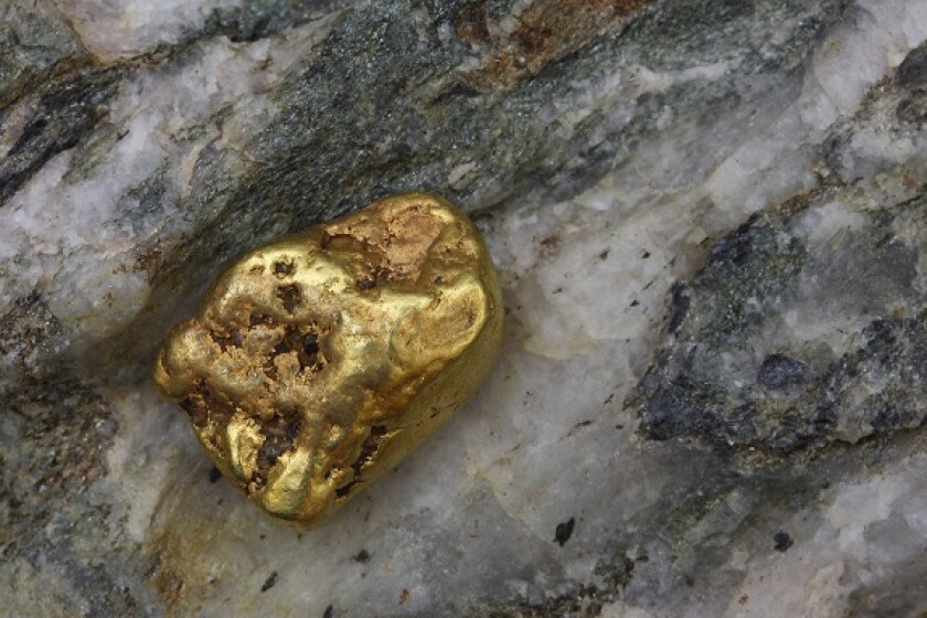 Gold rush natural nugget from Alamy 23Mar23 575x375