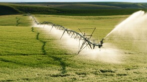 Agriculture - Operating center pivot irrigation system on a green grain field / Idaho, USA.
