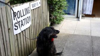 London, UK. 4th July, 2024. A dog waits for its master outside a polling station in London, Britain on July 4, 2024. Millions in Britain began to cast their votes in the general election on Thursday, as around 40,000 polling stations across the country op