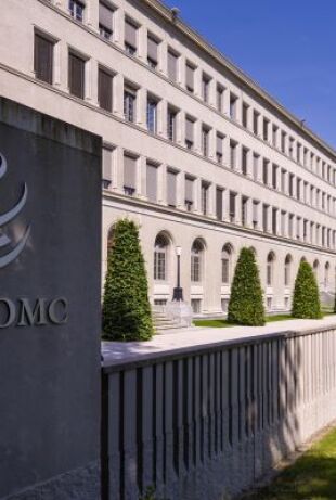wto.jpeg