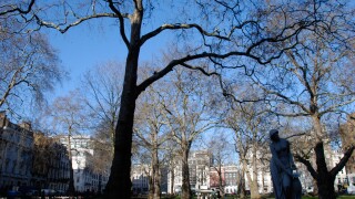 Park in Berkley Square Mayfair London England. Image shot 2008. Exact date unknown.