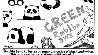 Pandas tend to be very much a matter of black and white.
