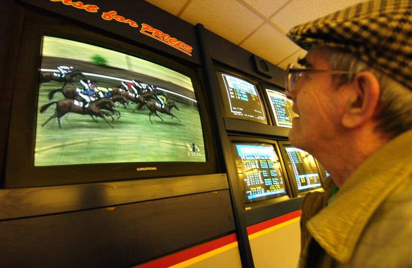 Old man in cloth cap watching a horse race on tv screen in William Hill