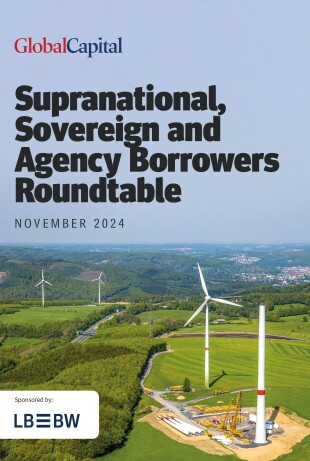 Supranational-Sovereign-and-Agency-Borrowers-Roundtable---LBBW---Nov-2024.jpg